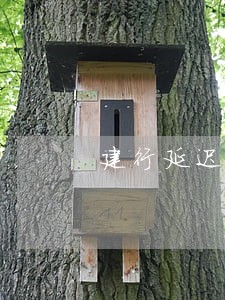建行延迟还款2天算逾期吗 建行延迟还款2天算逾期吗