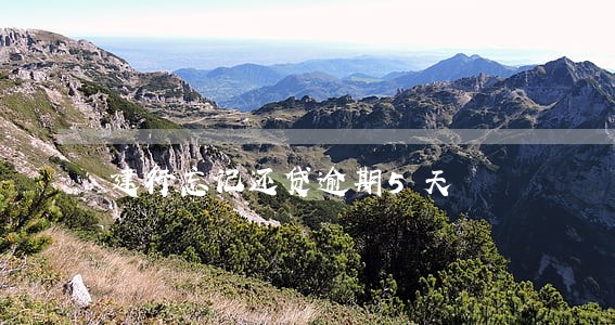 建行忘记还贷逾期5天