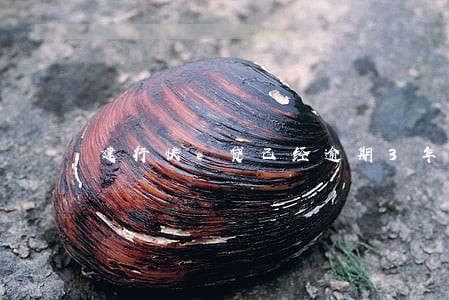 建行快e贷已经逾期3年了 建行快e贷已经逾期3年了