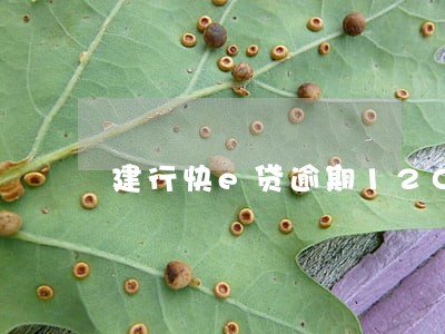 建行快e贷逾期120天 建行快e贷逾期120天
