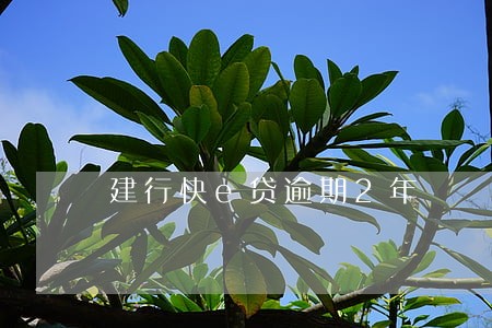 建行快e贷逾期2年 建行快e贷逾期2年
