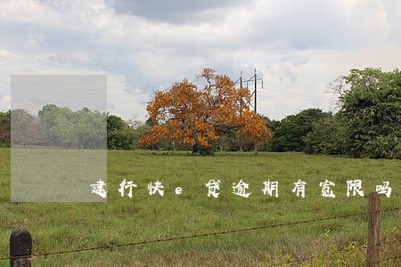建行快e贷逾期有宽限吗2020 建行快e贷逾期有宽限吗2020