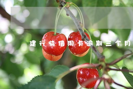 建行快信用卡逾期三个月 建行快信用卡逾期三个月