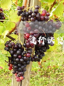 建行快贷11万逾期一年多了 建行快贷11万逾期一年多了