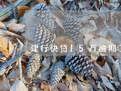 建行快贷15万逾期了怎么办 建行快贷15万逾期了怎么办