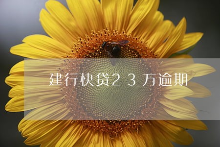 建行快贷23万逾期 建行快贷23万逾期