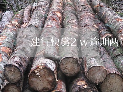 建行快贷2w逾期两年 建行快贷2w逾期两年