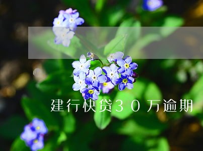 建行快贷30万逾期 建行快贷30万逾期