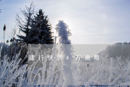 建行快贷4万逾期 建行快贷4万逾期