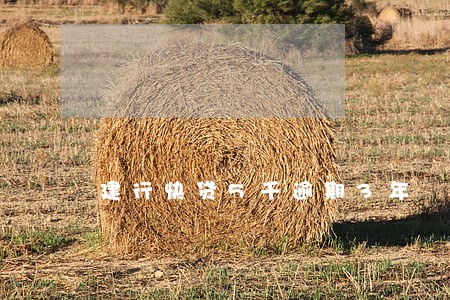 建行快贷5千逾期3年 建行快贷5千逾期3年
