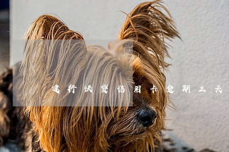建行快贷信用卡逾期三天