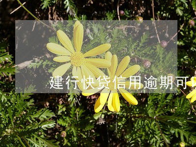 建行快贷信用逾期可以贷款吗 建行快贷信用逾期可以贷款吗