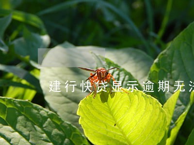 建行快贷显示逾期无法贷款 建行快贷显示逾期无法贷款