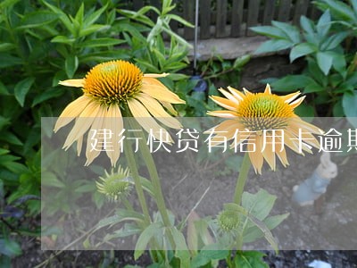 建行快贷有信用卡逾期怎么 建行快贷有信用卡逾期怎么