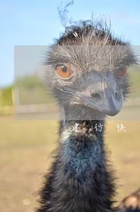 建行快贷有逾期好久3年 建行快贷有逾期好久3年