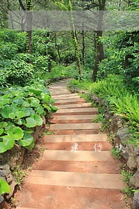 建行快贷贷款逾期协商 建行快贷贷款逾期协商
