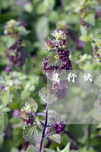 建行快贷超过17点还款算逾期吗 建行快贷超过17点还款算逾期吗