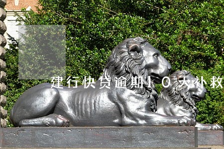 建行快贷逾期10天补救方法