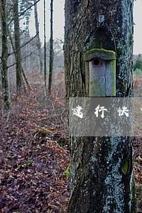 建行快贷逾期10月 建行快贷逾期10月