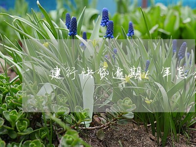建行快贷逾期1年怎么办 建行快贷逾期1年怎么办