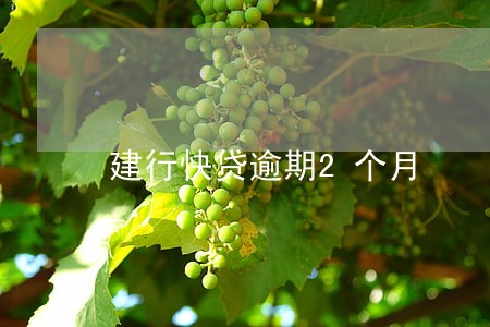 建行快贷逾期2个月 建行快贷逾期2个月