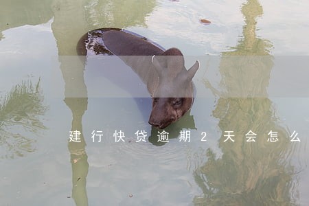 建行快贷逾期2天会怎么样