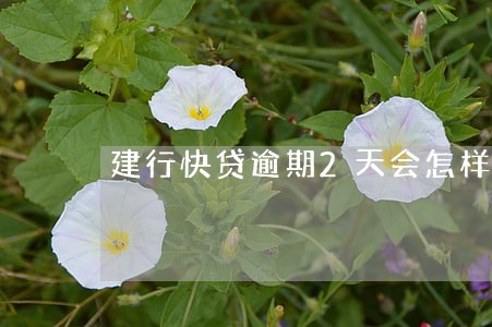 建行快贷逾期2天会怎样 建行快贷逾期2天会怎样
