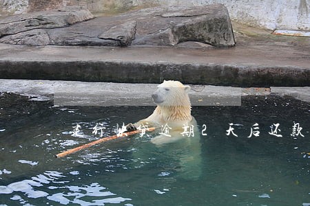建行快贷逾期2天后还款算逾期吗
