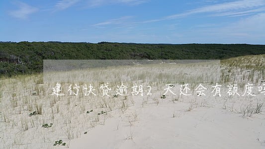 建行快贷逾期2天还会有额度吗 建行快贷逾期2天还会有额度吗