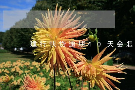建行快贷逾期40天会怎样