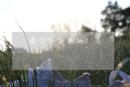 建行快贷逾期5月 建行快贷逾期5月