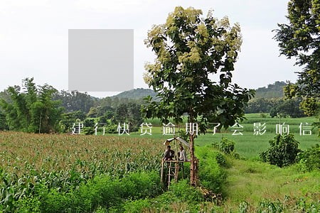 建行快贷逾期了会影响信用吗 建行快贷逾期了会影响信用吗