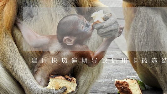 建行快贷逾期导致信用卡被冻结