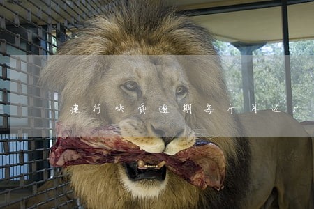 建行快贷逾期每个月还500