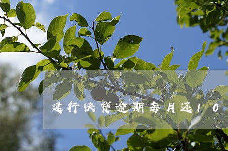 建行快贷逾期每月还1000 建行快贷逾期每月还1000
