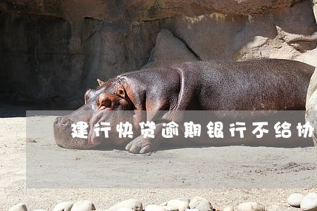建行快贷逾期银行不给协商怎么办
