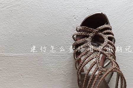 建行怎么查信用卡逾期记录
