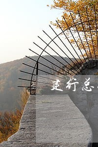 建行总行司法查询 建行总行司法查询
