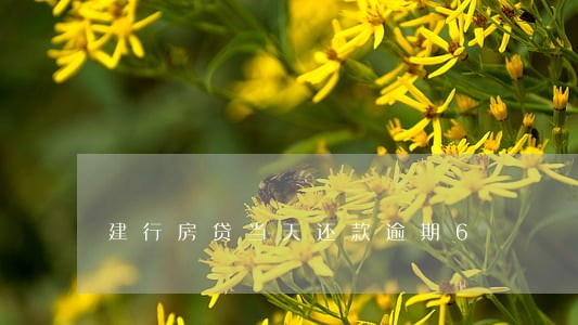 建行房贷当天还款逾期6 建行房贷当天还款逾期6