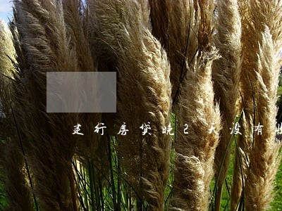 建行房贷晚2天没有收逾期 建行房贷晚2天没有收逾期