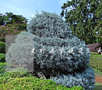 建行房贷晚还1天算逾期 建行房贷晚还1天算逾期