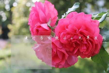 建行房贷晚还6天算逾期吗 建行房贷晚还6天算逾期吗
