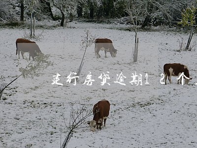 建行房贷逾期12个月 建行房贷逾期12个月