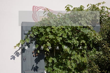 建行房贷逾期1天