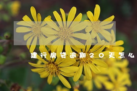 建行房贷逾期20天怎么补缴还款 建行房贷逾期20天怎么补缴还款