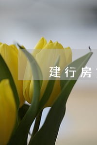 建行房贷逾期2天的后果 建行房贷逾期2天的后果