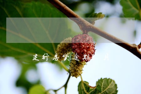 建行房贷逾期2月 建行房贷逾期2月
