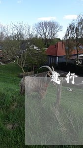 建行房贷逾期3天会自动扣吗 建行房贷逾期3天会自动扣吗