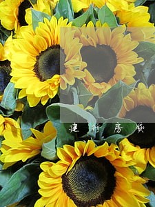建行房贷逾期3天影响征信 建行房贷逾期3天影响征信