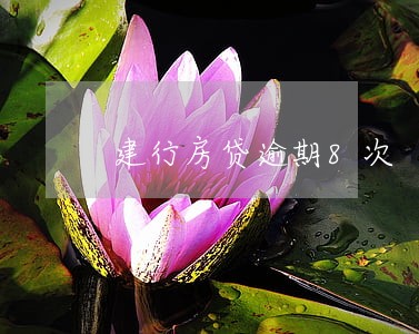 建行房贷逾期8次 建行房贷逾期8次